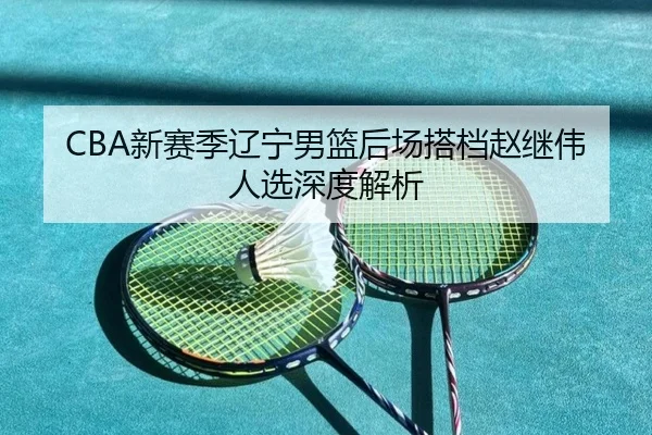 CBA新赛季辽宁男篮后场搭档赵继伟人选深度解析